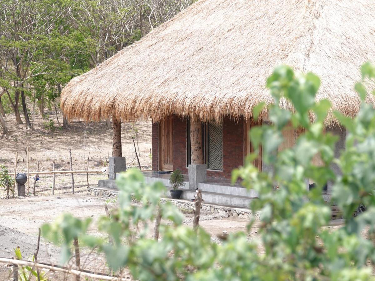 Melody Surf - Ekas Lombok Otel Dış mekan fotoğraf