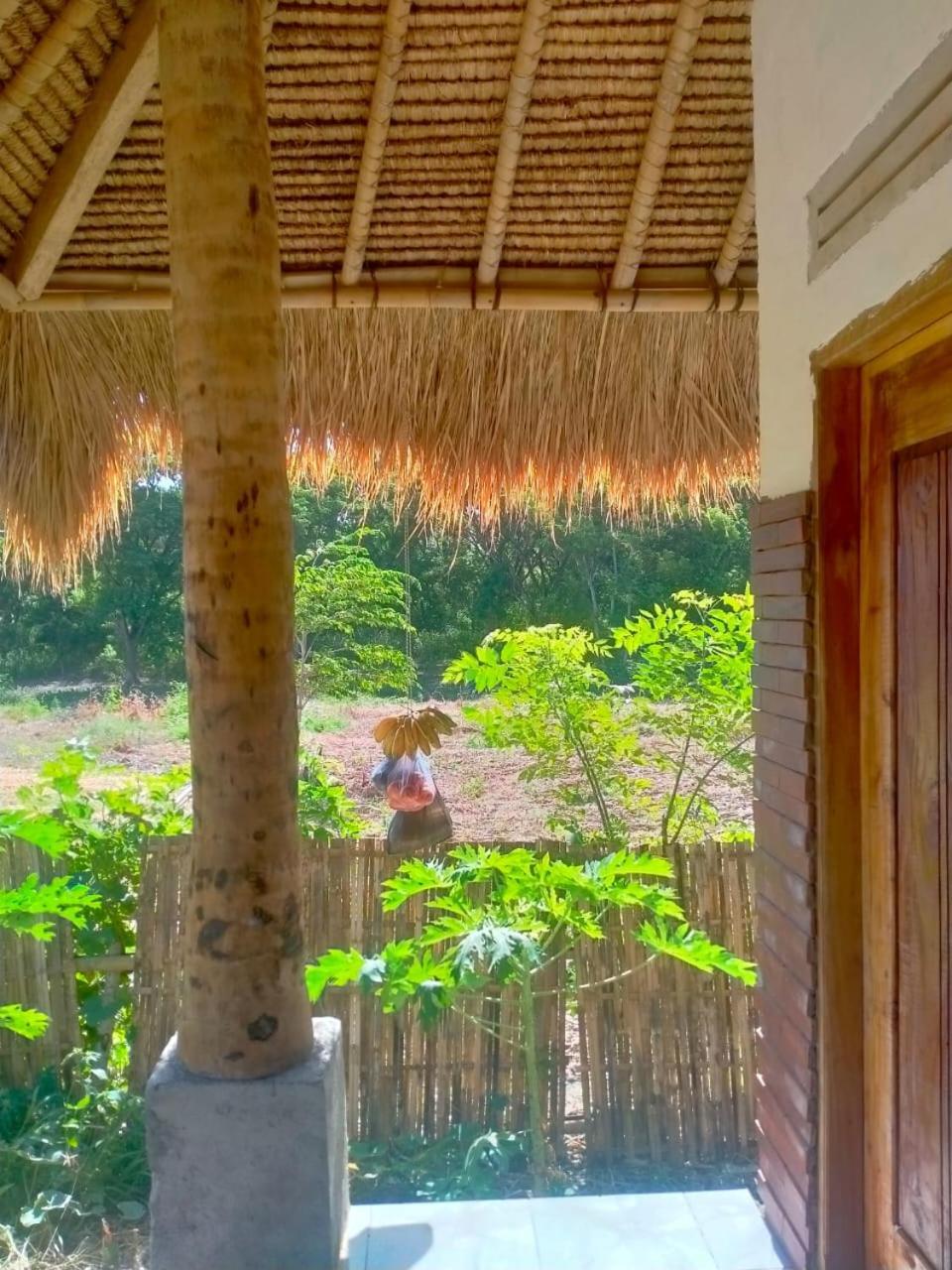 Melody Surf - Ekas Lombok Otel Dış mekan fotoğraf