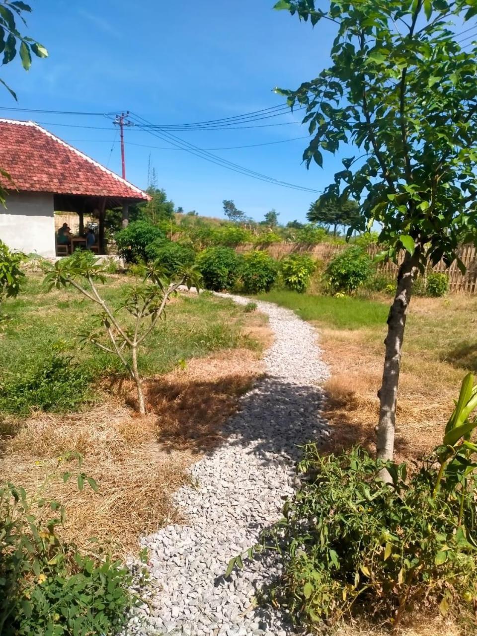 Melody Surf - Ekas Lombok Otel Dış mekan fotoğraf