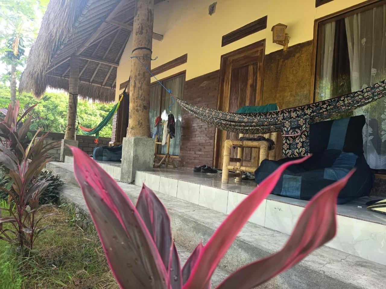 Melody Surf - Ekas Lombok Otel Dış mekan fotoğraf