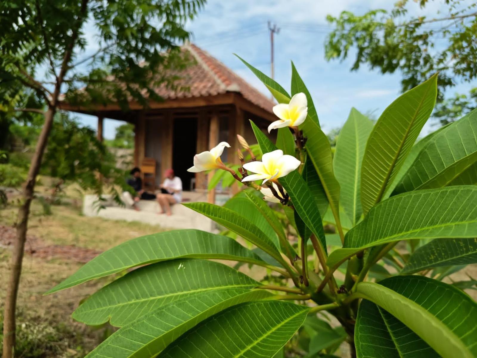 Melody Surf - Ekas Lombok Otel Dış mekan fotoğraf