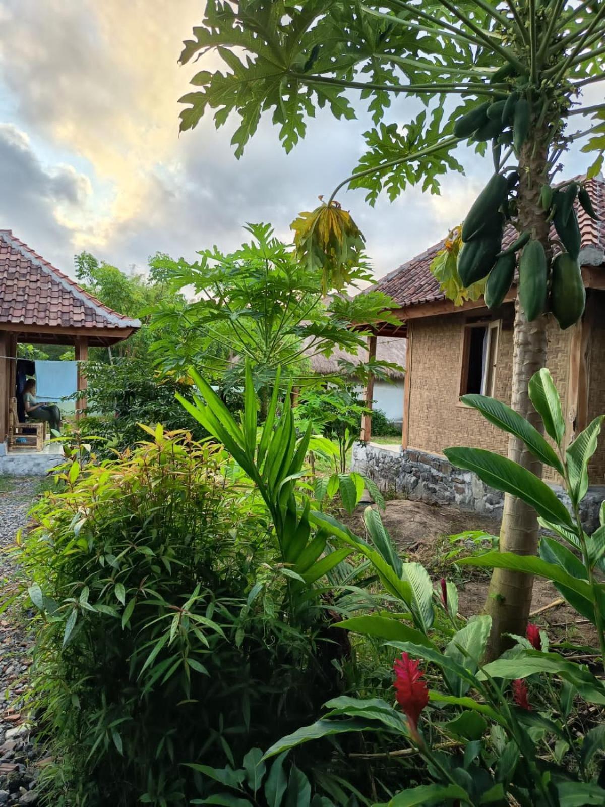 Melody Surf - Ekas Lombok Otel Dış mekan fotoğraf